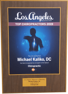 top chiropractors 2019
